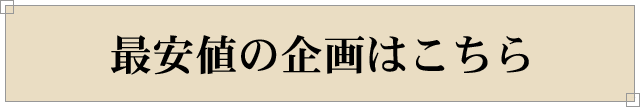 最安値の企画はこちら