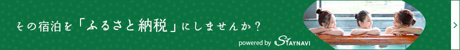 ステイナビでふるさと納税