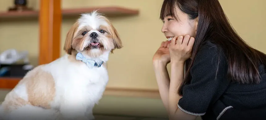 [Pet-Friendly Floor] Japanese-style room (12.5 tatami mats + wooden flooring, with bathtub)